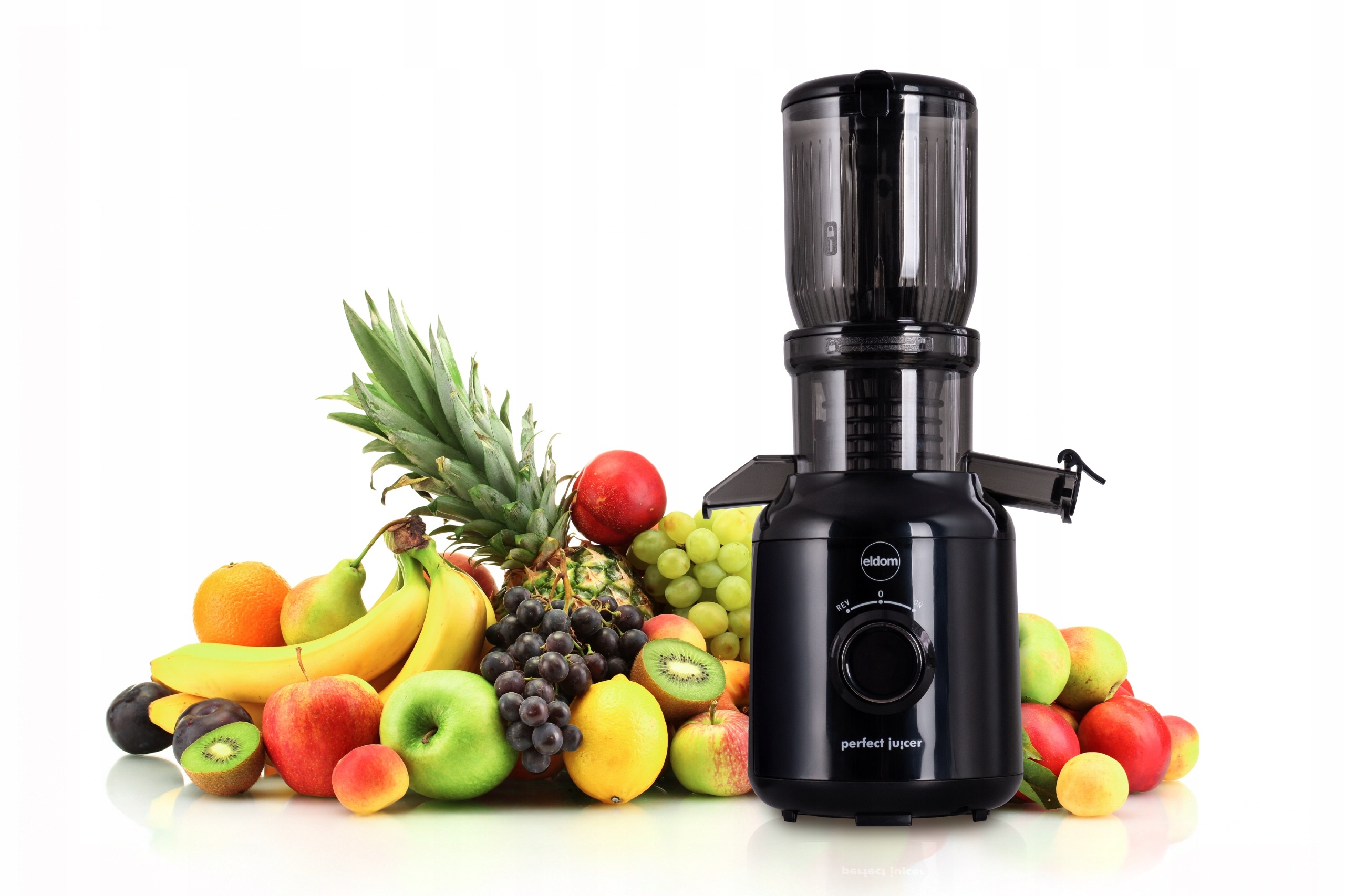 Wyciskarka pionowa wolnoobrotowa do soków PJ350 Eldom 250W